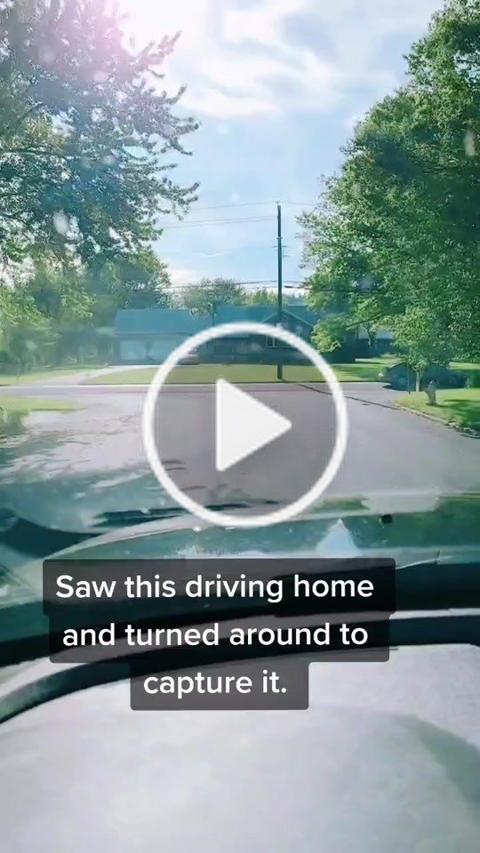 Randy G(@rebelrandy) on TikTok: #trump #trump2020 #keepamericagreat2020 #trumptrain #trumpsupporter #trumpcheck #foryoupage #fyp #notforyou #notfyp