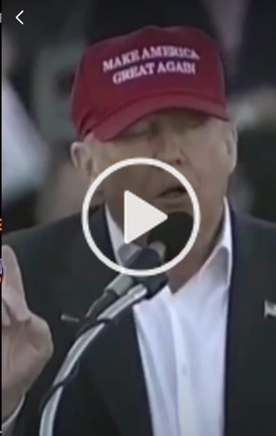 trump4maga2020(@fatcatz4u) on TikTok: #blacklivesmatter #alllivesmatter #blm #alm #maga #trump2020 #biden2020 #govote2020