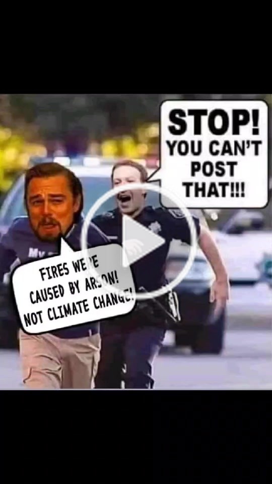 Geezee(@geezeemandingo) on TikTok: #siliconvalley  #liberalcontrolled #communistamerica