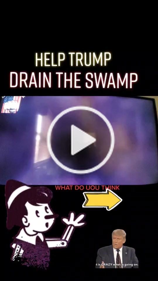 The Lookout(@a.trump.supporter) on TikTok