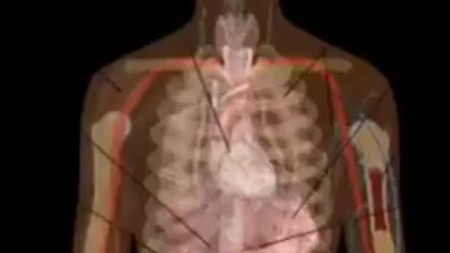 Doctor Explains Clearly How COVID VACCINES Effect the Body