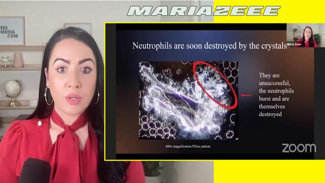 mariazee: Australian Whistleblower Scientists Provide Evidence of Nanotech & Graphene Oxide