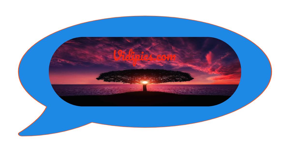 Rick Kamen | Vidi Pics