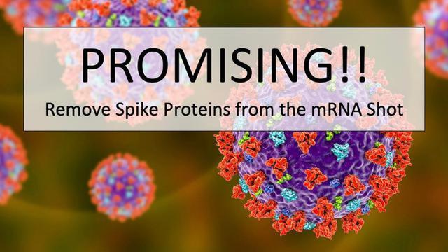 NEW STUDY: STOP DAMAGE & REMOVE SPIKE PROTEINS & DNA PROGRAMMABLE ROBOT MATH MATRIX W/ DR. EDWARDS