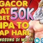 freebet newmember Profile Picture