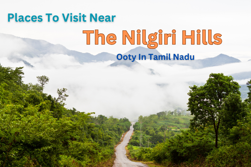 Top Places to Visit in Ooty for a Blissful Escape to Nature