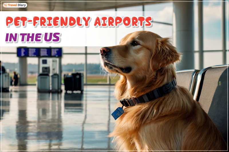 Pet-Friendly Airports in the USA You Should Know