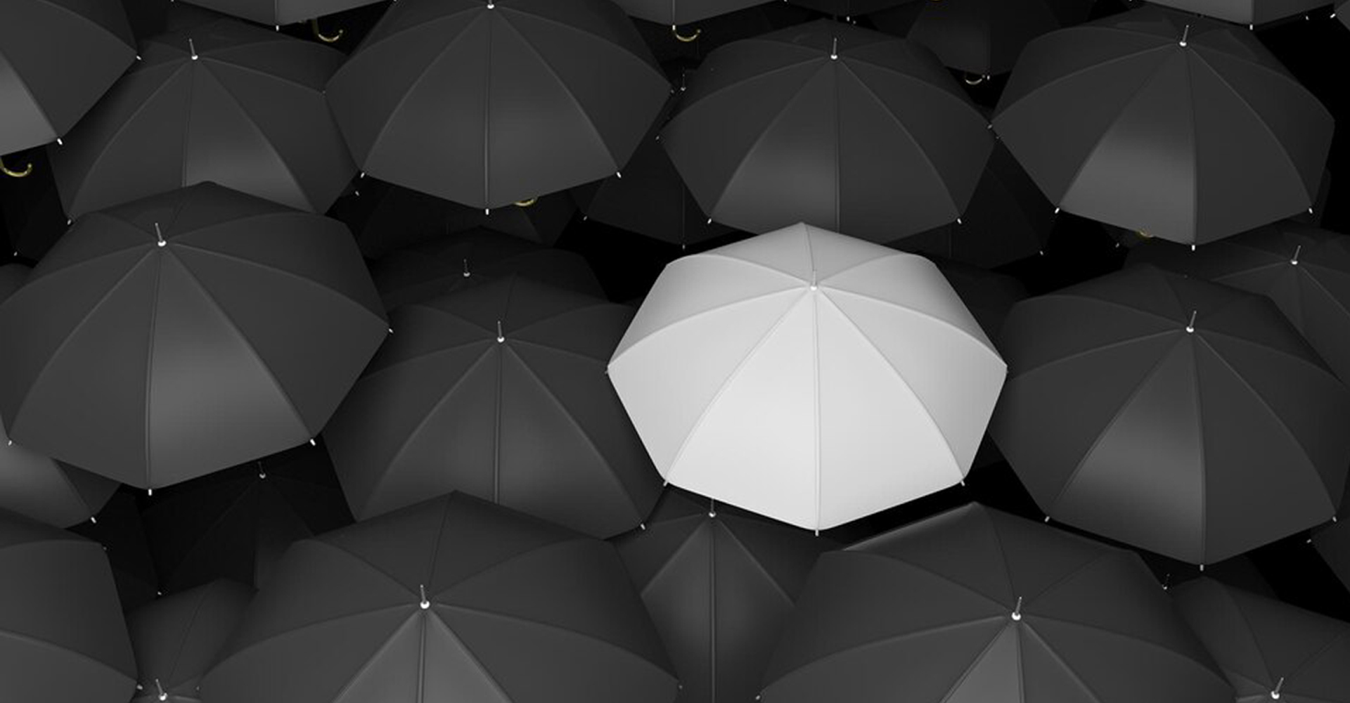 Innovative Branding and Advertising Solutions | Togwe Pvt. Ltd.