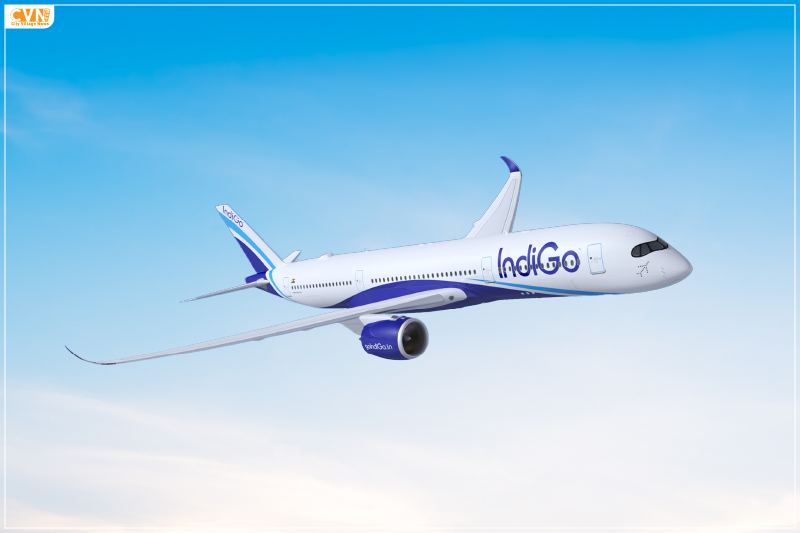 Record 112 Million IndiGo Passengers Flew in 2024