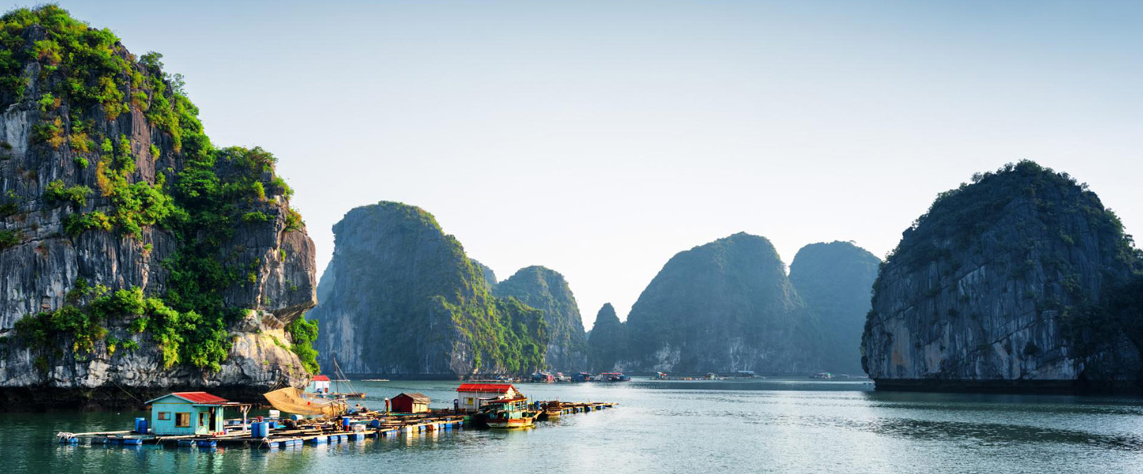 Rheumatology Billing Services: Simplify Billing and Boost Practice Revenue