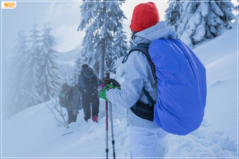 Discover Winter Wonderland: Best Places for Winter Hikes in USA