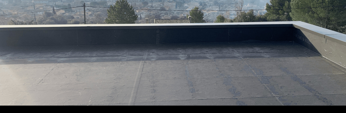 Epdm Paca Cover Image