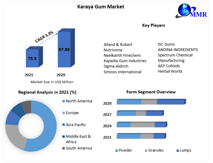 Karaya Gum Market- Growth, Trends, Opportunities, and Forecasts 2029