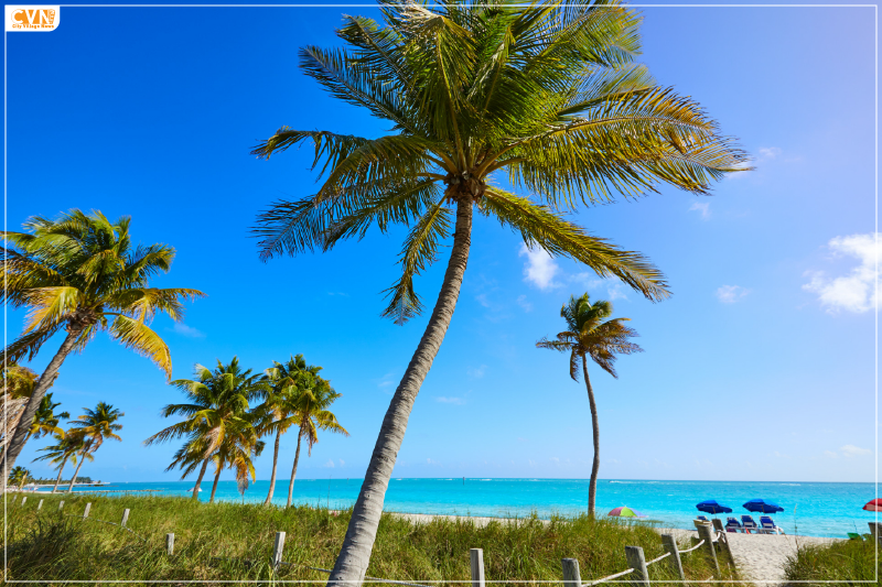 6 Famous Florida Attractions to Add to Your Bucket List - City Village News