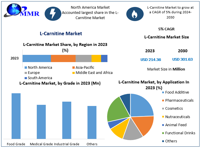 L-Carnitine Market Global Industry Analysis and Forecast (2024-30)