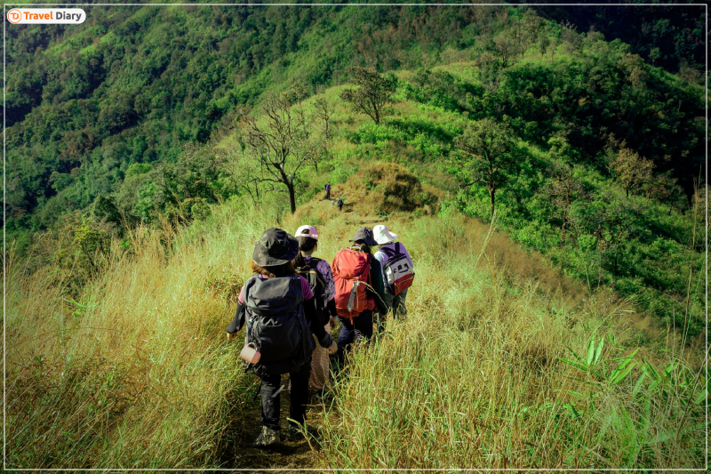 5 Best Hiking and Trekking Spots in South India for the Adventurer in You
