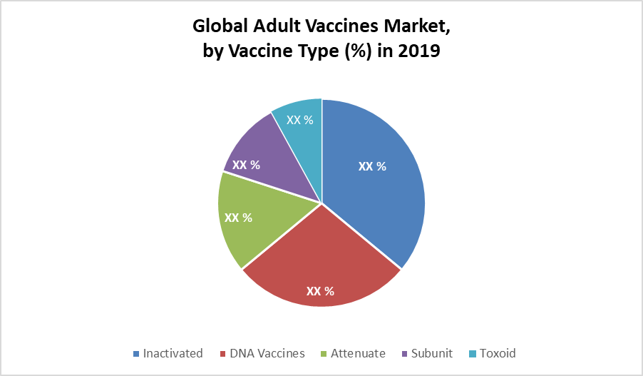 Global Adult Vaccines Market: Industry Analysis and Forecast