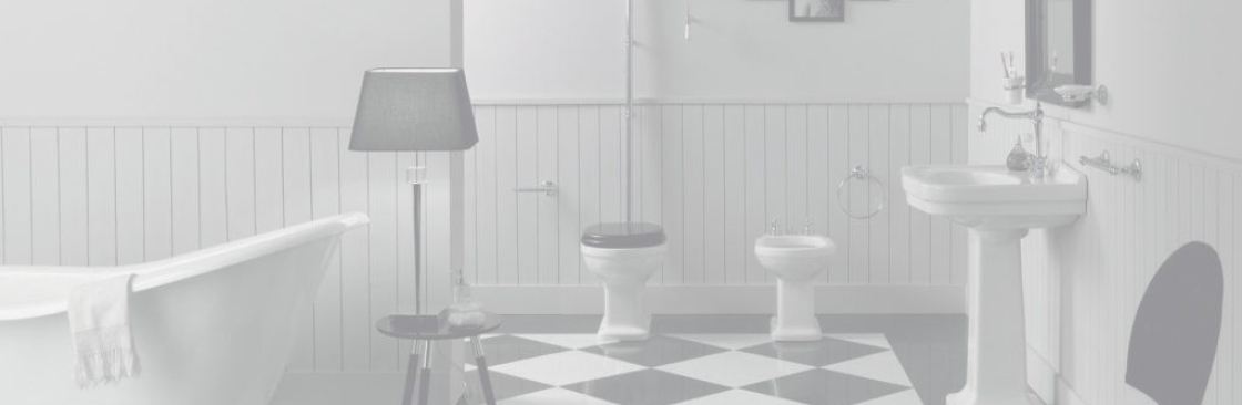 saniterica ca Cover Image