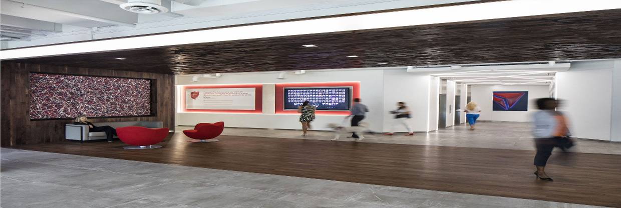 Delta Airlines Headquarters Address 1-833-918-3516